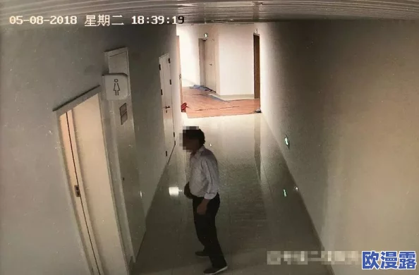 女厕尿BBwwBBww：女性如厕时的生理需求与社会文化影响研究