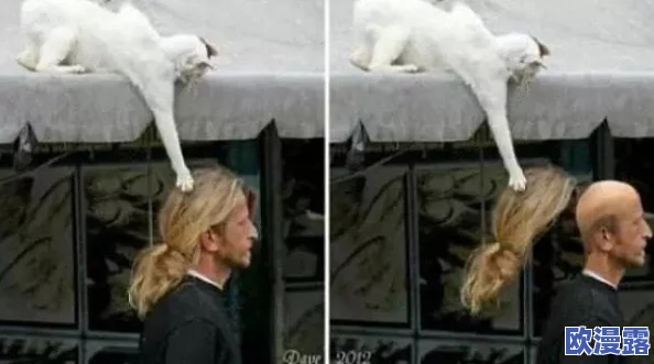 性欧美欧美另类巨大：震惊！全球最大规模的另类文化盛会即将开启，吸引数万参与者共襄盛举！