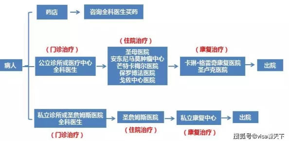 深入解析：莫尔与阿基态的独特魅力及特点介绍