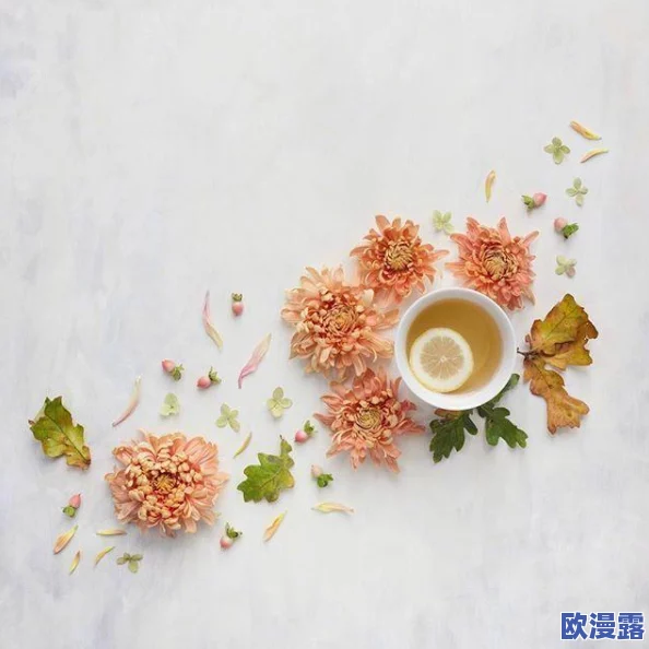 深入解析：莫尔与阿基态的独特魅力及特点介绍