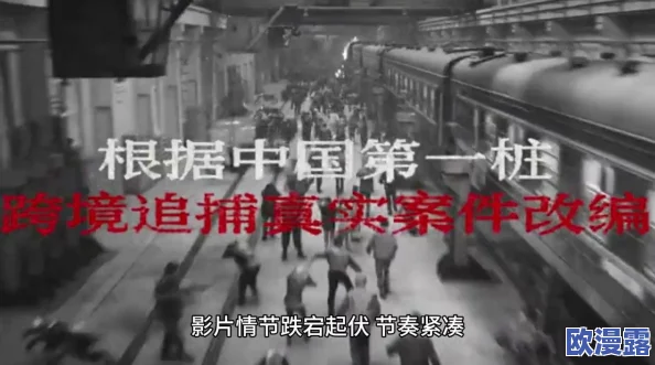 多多视频好看的电影推荐：2023年值得一看的经典与新片，涵盖各类题材与风格的精彩影片合集