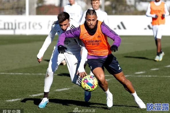 震惊！女上男下ox后进式gif动态图引发热议，网友纷纷表示无法直视，场面火爆程度超乎想象！