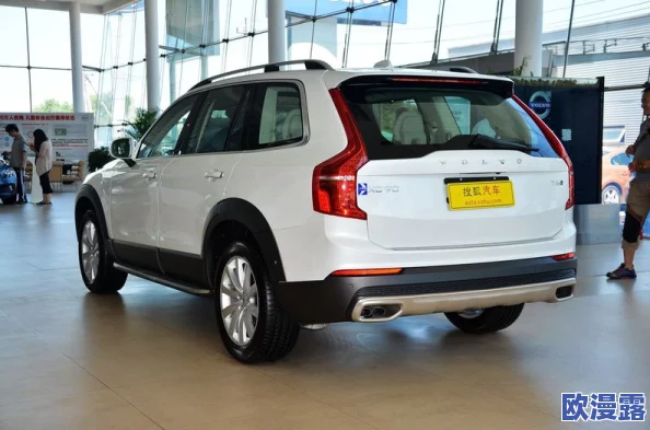 497799欧洲版的国产suv：网友热议其设计与性能，认为性价比高但品牌认知度仍需提升