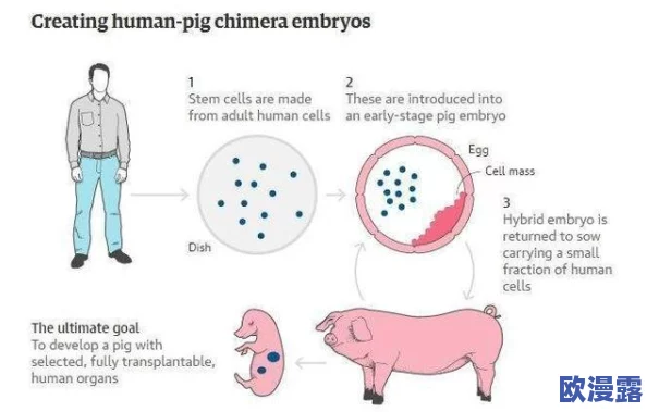 狠狠丁香激情久久综合:震惊!全球首个成功克隆人类胚胎实验引发伦理大讨论,科学界与公众意见分歧严重! 狠狠丁香激情久久综合:震惊!全球首个成功克隆人类胚胎实验引发伦理大讨论,科学界与公众意见分歧严重!