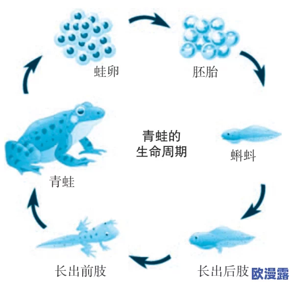 九色丨蝌蚪ponyr：了解九色蝌蚪的生态特点及其在生物多样性中的重要性与研究进展