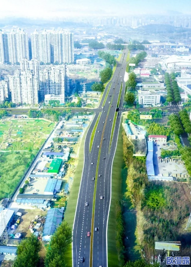 仙踪林2024高速入口位置解析：探索便捷交通与自然美景交汇点