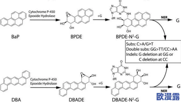 震惊！黄色aa视频背后隐藏的真相曝光，竟然牵扯到多个知名人士，引发社会广泛关注与讨论！