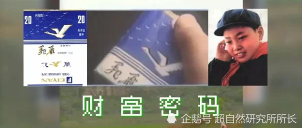 成品码78w78：传闻背后隐藏的秘密，业内人士曝出惊人内幕，引发热议与关注！