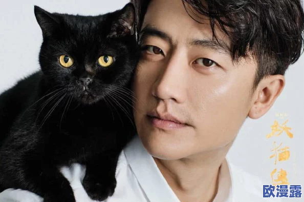 揭秘灵猫传：快速赚取金钱的高效方法与技巧详解