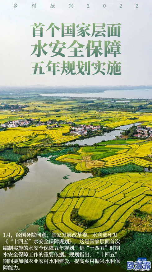 岳婿合体苏洒林道，携手共创美好未来，共同推动乡村振兴与生态保护新篇章