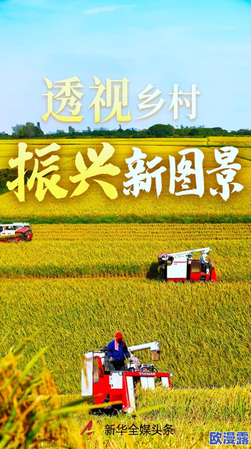 岳婿合体苏洒林道，携手共创美好未来，共同推动乡村振兴与生态保护新篇章