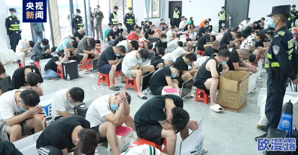 前四后八什么意思缅北被抓，震惊全国！非法活动曝光，数十人同时被捕引发广泛关注！