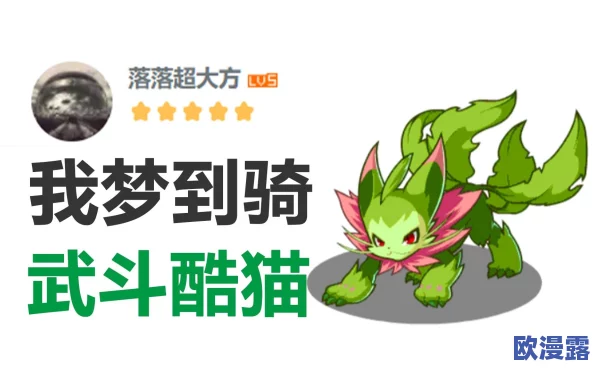 武斗酷猫全方位技能解析与战斗应用指南