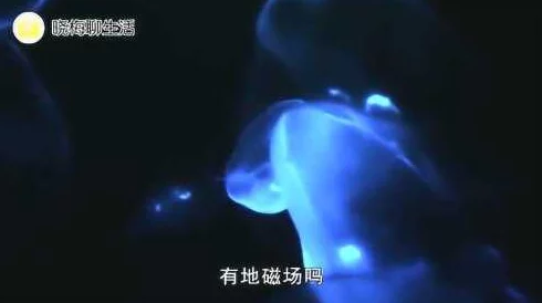 猛烈撞击灌满白浊花液，惊现神秘生物引发科学界震动，专家紧急调查背后真相！