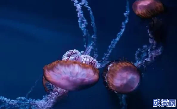 猛烈撞击灌满白浊花液，惊现神秘生物引发科学界震动，专家紧急调查背后真相！