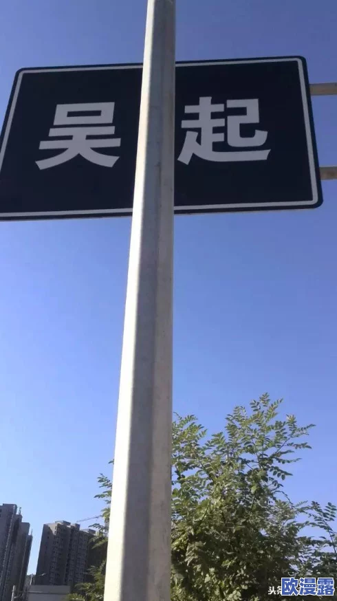 吴骑T0:解析这一新兴骑行品牌在市场中的崛起及其对消费者的影响与未来发展潜力 吴骑T0:解析这一新兴骑行品牌在市场中的崛起及其对消费者的影响与未来发展潜力