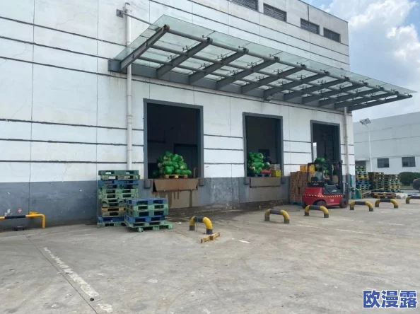 岳乱一区二区三区四区：令人震惊的神秘事件曝光，引发社会各界广泛关注和热议，真相究竟是什么？