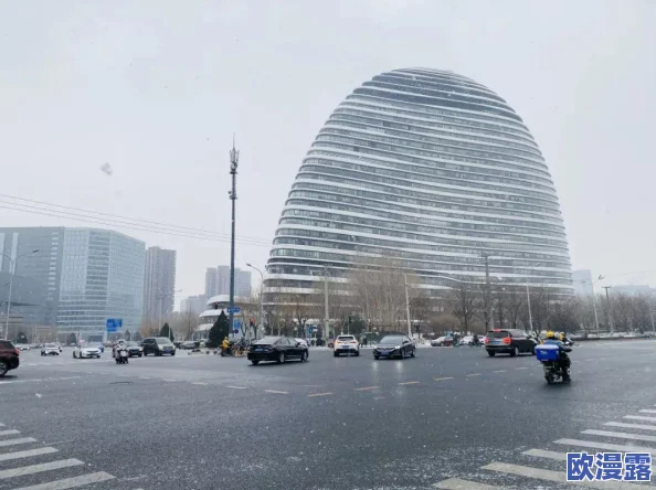 岳乱一区二区三区四区：令人震惊的神秘事件曝光，引发社会各界广泛关注和热议，真相究竟是什么？
