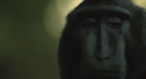 震撼！一个人看的ww视频竟然藏着不为人知的秘密，观看后让人目瞪口呆的真相曝光！
