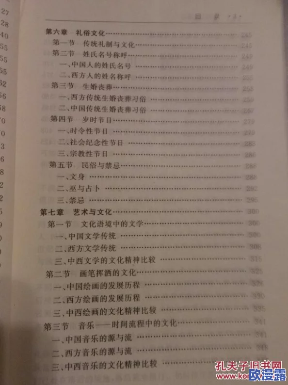 罗莉精品一区二区三区：深度探讨该文化现象的起源、发展及其在当代社会中的影响与争议