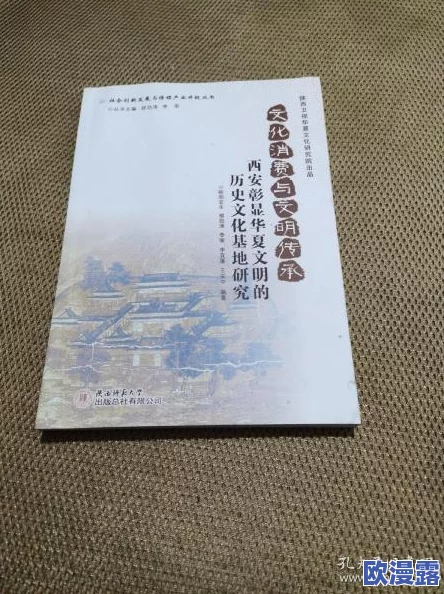 罗莉精品一区二区三区：深度探讨该文化现象的起源、发展及其在当代社会中的影响与争议