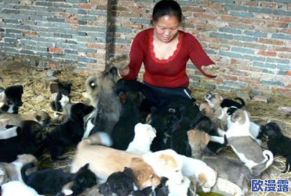 多人在线竞技新游《邻居：郊区战争》现已全面开启限量测试
