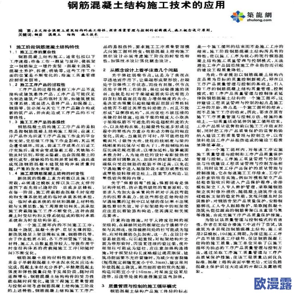四代土影黑土做钢筋视频：探讨黑土的特性、施工工艺及在建筑中的应用技巧与案例分析