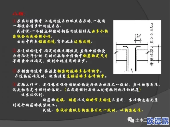 四代土影黑土做钢筋视频：探讨黑土的特性、施工工艺及在建筑中的应用技巧与案例分析