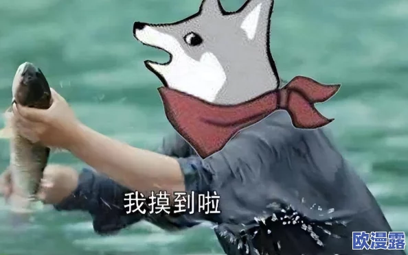 探究艾尔登法环:如何识别并了解当前游戏的版本号信息 探究艾尔登法环:如何识别并了解当前游戏的版本号信息