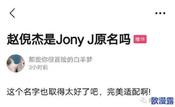 别tm舔了：在面对不公和虚伪时，我们应该勇敢发声，而不是一味迎合他人的期待与要求
