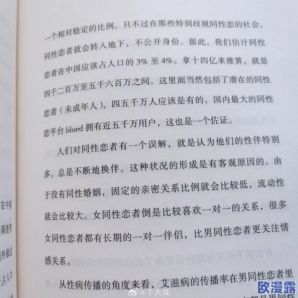 耽美肉：当代青年对性别认同与情感表达的多元探索引发热议，文化现象背后的深层次思考