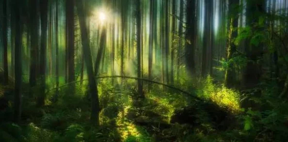 荡公乱妇野美人沟：近期社交媒体热议此地的奇特风景与传说，吸引众多游客前来探访与拍照留念