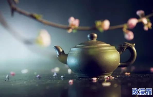 500一晚同城约茶：网友评价称性价比高，环境优雅，让人倍感放松和愉悦