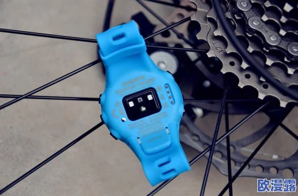 《天天酷跑》萌装系统深度剖析：等级对比揭秘与优势分析