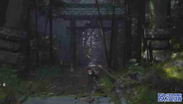 黑神话悟空：如何获取清虚道果及泡酒所需物品的方法详解