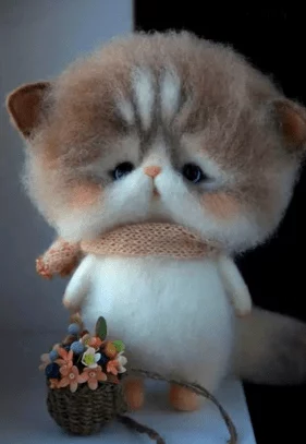 毛茸茸的可爱宠物引发热议，网友纷纷分享养宠心得与萌照，成为社交媒体新风潮！