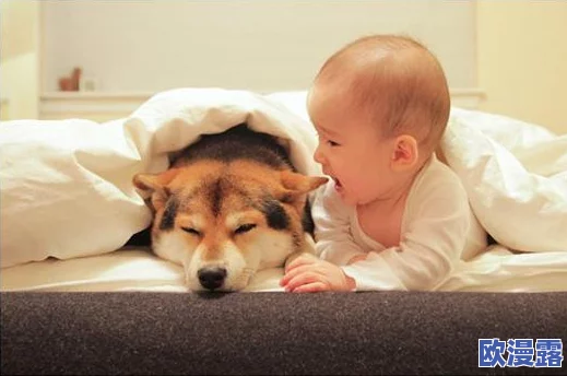 毛茸茸的可爱宠物引发热议，网友纷纷分享养宠心得与萌照，成为社交媒体新风潮！