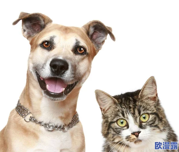 毛茸茸的可爱宠物引发热议，网友纷纷分享养宠心得与萌照，成为社交媒体新风潮！