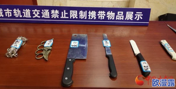 地铁逃生游戏中，哪一款枪械更具趣味性和操作性探讨