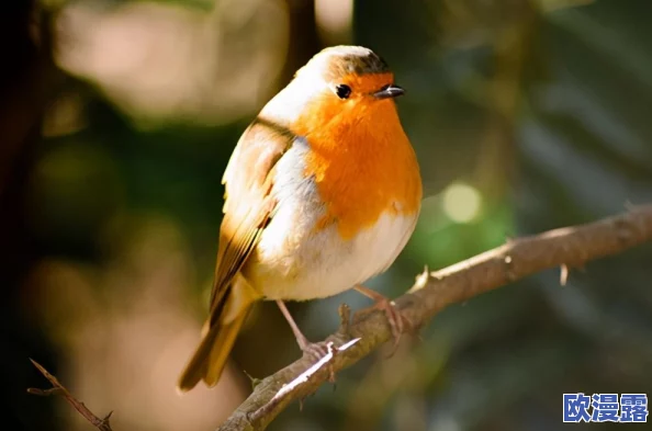男人吃女人的胸大视频引发热议，网友们纷纷讨论其背后的文化意义与社会影响，相关话题持续升温