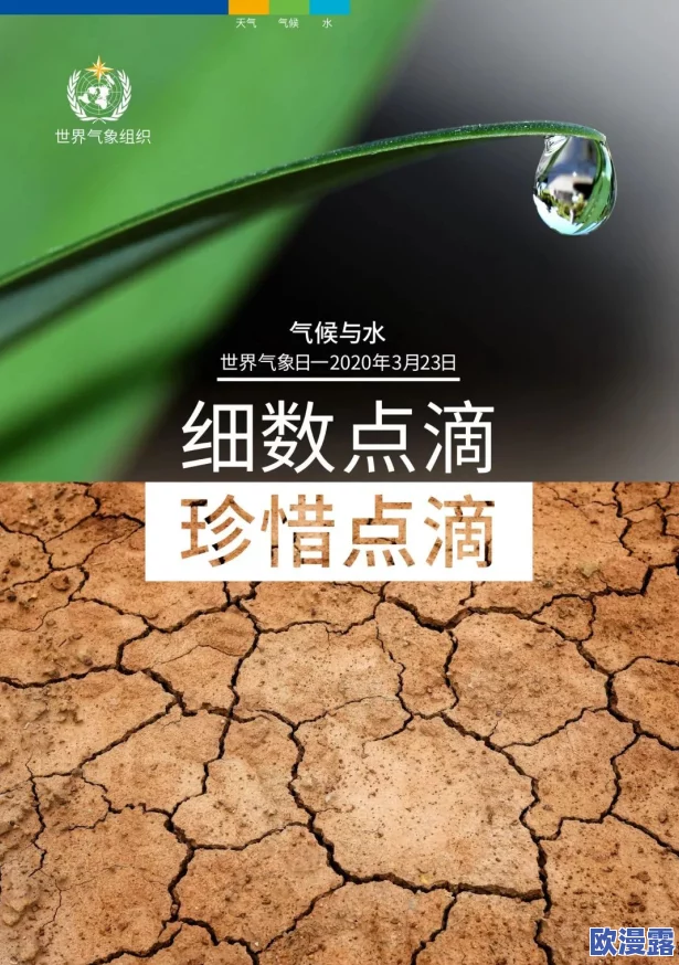 欧美xxxx狂喷水，全球气候变化引发极端天气，专家警告未来可能面临更严重的水灾风险