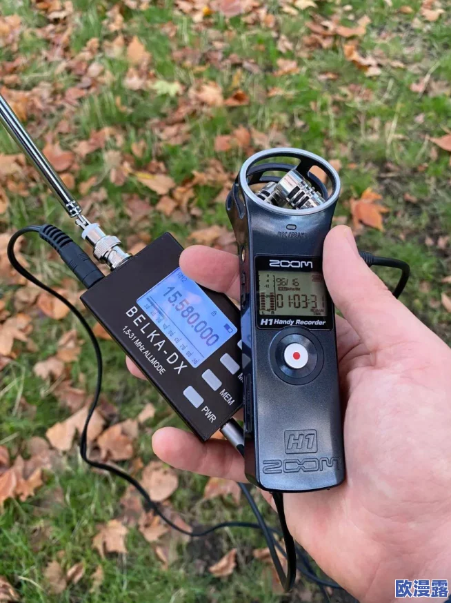 俄罗斯Zoom人与Zoom哪个好？从功能、用户体验和安全性等方面进行全面比较与分析