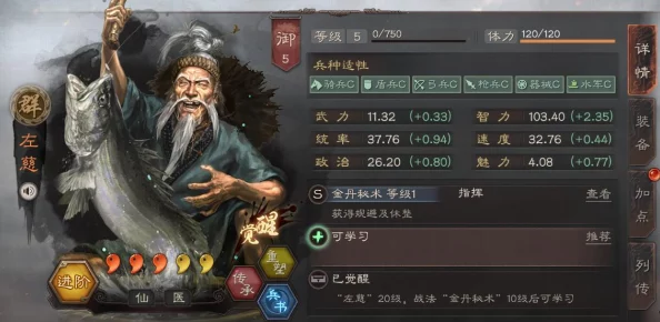三国志战棋版:于吉高效阵容搭配策略与推荐指南 三国志战棋版:于吉高效阵容搭配策略与推荐指南