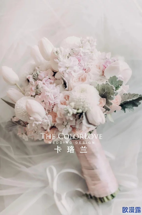 从指尖传达处热情3季还不能看嘛，粉丝们期待已久的剧集何时才能与大家见面？