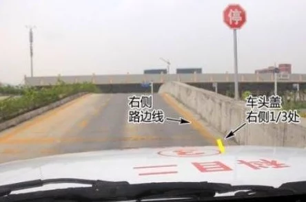 成品直播大全观视频的技巧和方法！某知名主播被曝光涉嫌利用黑科技刷礼物，网友纷纷围观揭秘真相