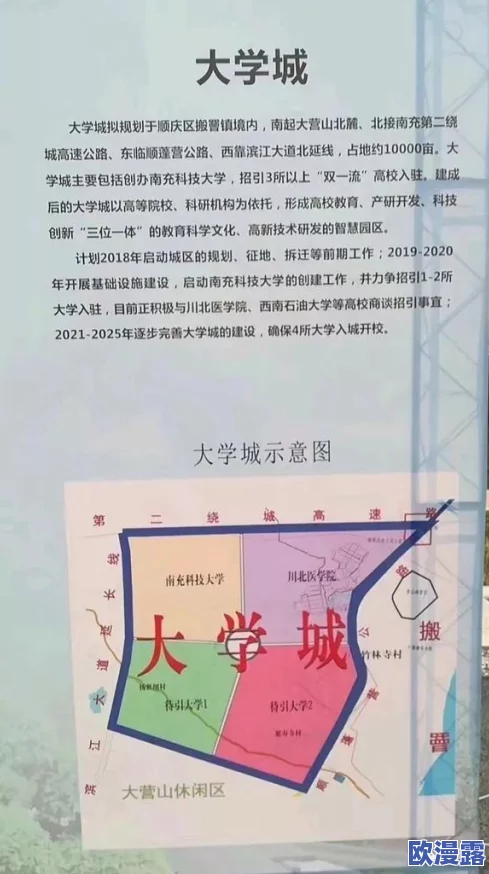 日韩美a一级毛片：最新动态引发热议，三国关系如何影响全球局势？