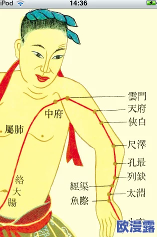 欧美成视频人免费淫片：最新动态揭示成人内容行业的变化与挑战，用户需求如何影响市场走向？