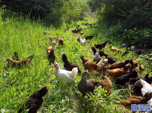 地下城与勇士高效赚钱攻略：探索快速刷钱最佳地点与方法