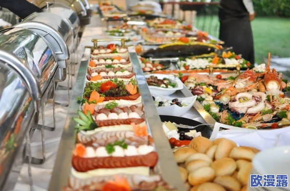 日韩精品视频免费：最新动态引发热议，网友热衷分享观看体验与评论，行业趋势分析备受关注