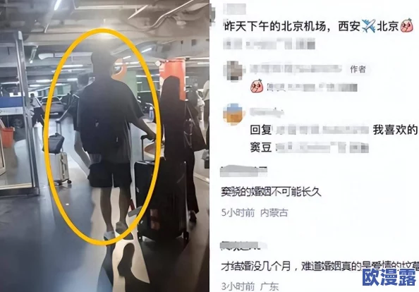 火车和陌生人做高h：近期网络热议的奇特情节引发网友讨论，背后隐藏着怎样的社会现象？